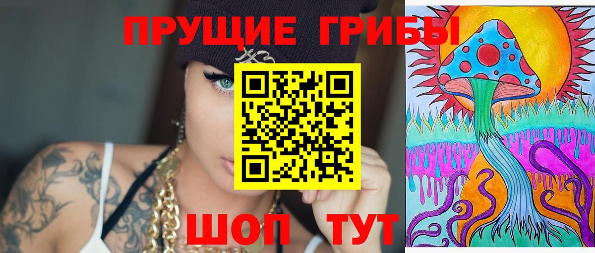 Псилоцибиновые грибы Psilocybe Качканар