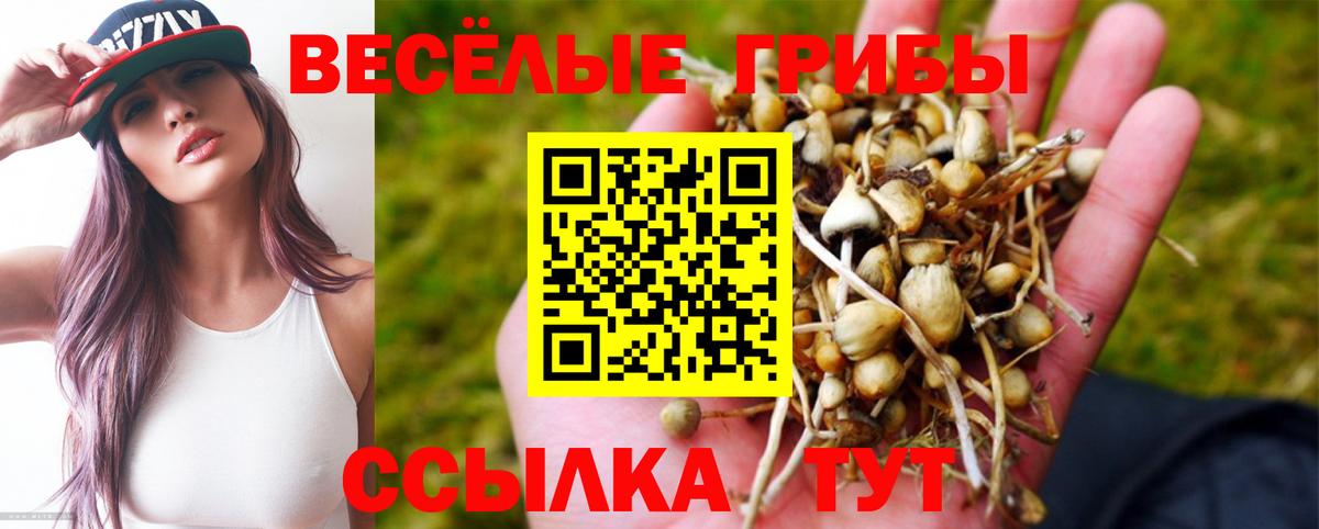 Качканар  Псилоцибиновые грибы Magic Shrooms  Вход с VPN  Псилоцибиновые грибы Cubensis 
